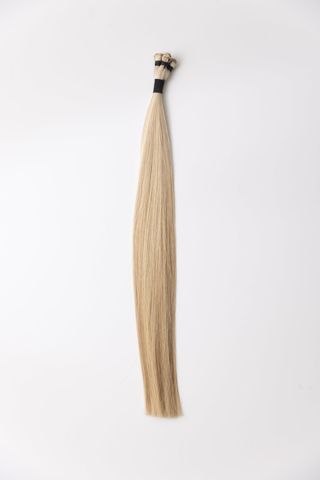 Beach Blonde: Hand-Tied Wefts-The Warehouse Salon