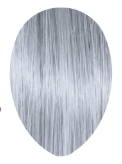 Alter Ego 10/1 Light Platinum Blonde Ash Keep It Glossy