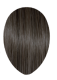 Alter Ego 4/18 Dark Matte Ash Brown Keep It Glossy