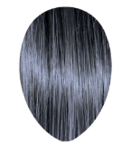 Alter Ego 6/1 Dark Blonde Ash Keep It Glossy