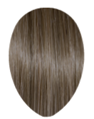 Alter Ego 6/73 Dark Golden Brown Blonde Keep It Glossy