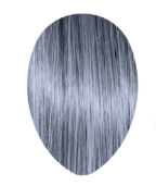 Alter Ego 8/1 Light Blonde Ash Keep It Glossy