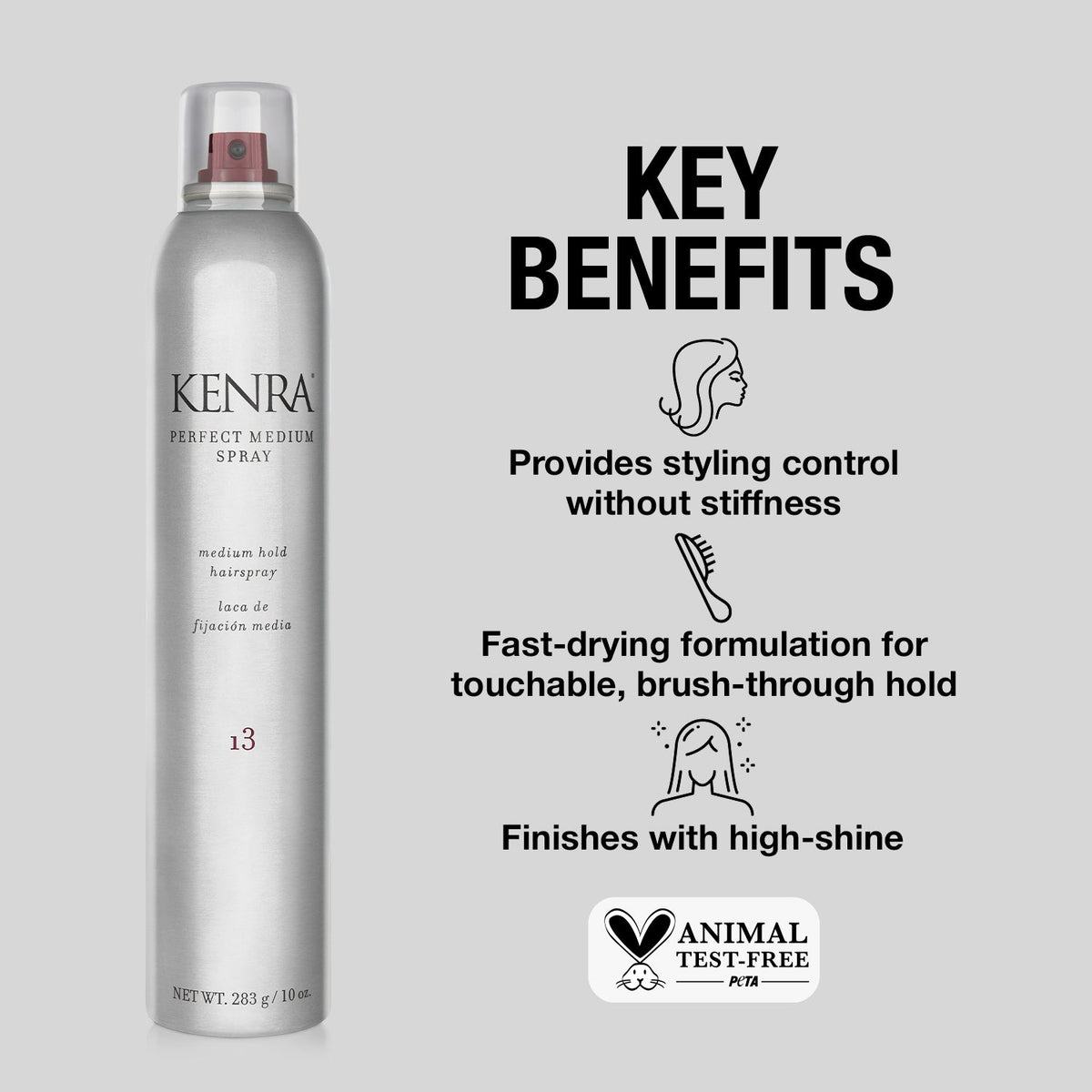 Kenra Kenra Perfect Medium Spray 13 10oz