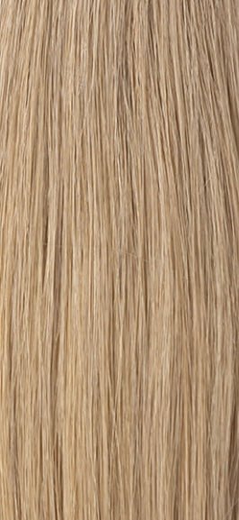 Irish Cream - Tape Wefts - Christian Michael Hair Extensions